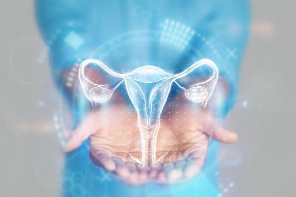 Médico mostrando o aparelho reprodutor feminino em holograma.
